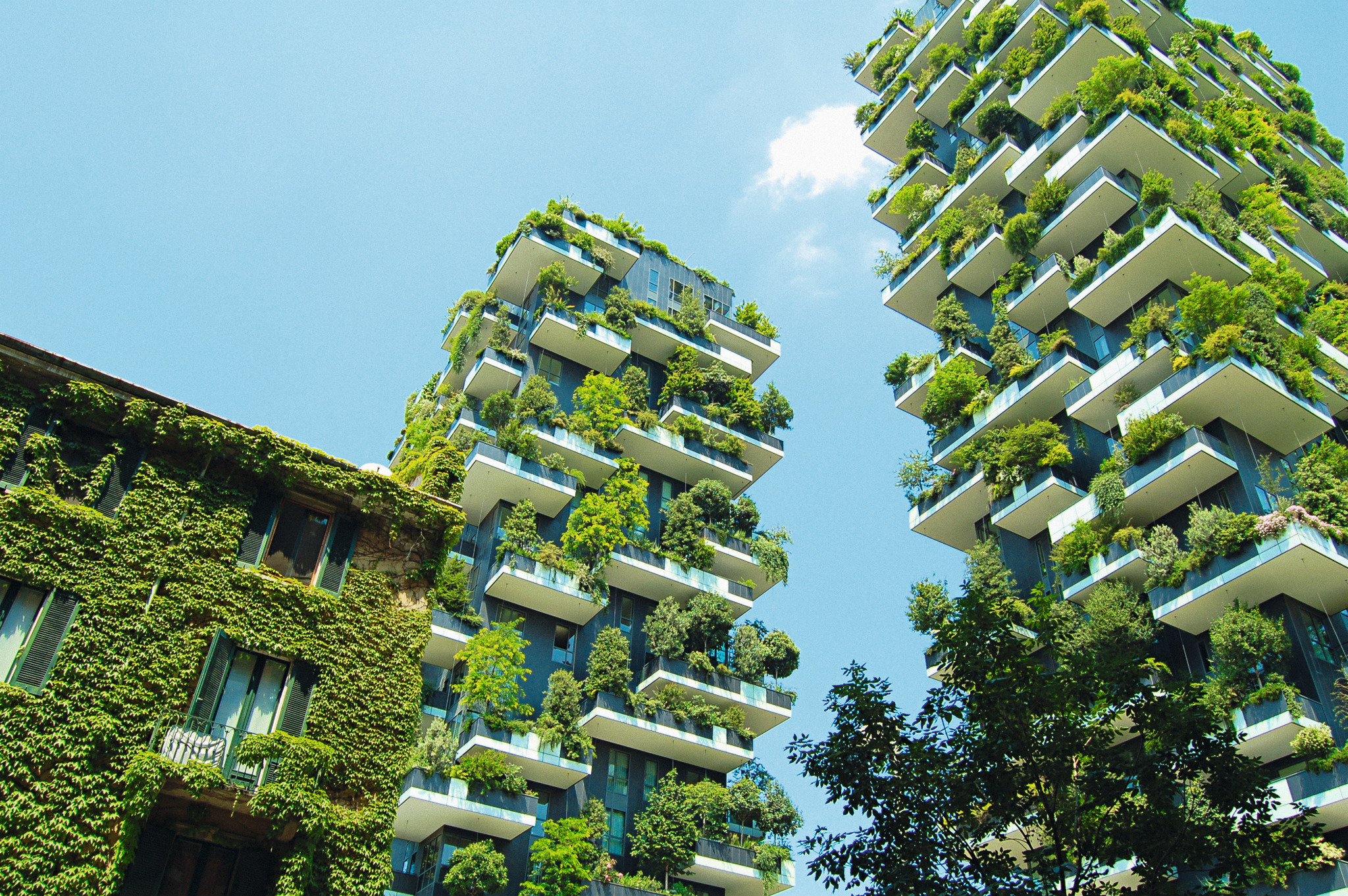 holcim bosco verticale