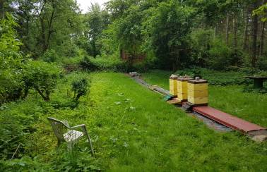 holcim und die bienen laegerdorf