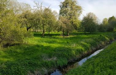 pm tag der biodiversitaet streuobstwiese laegerdorf