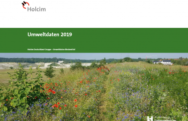 titelseite umweltdaten 2019