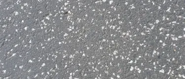 Gesteinskörnungen für Asphalt