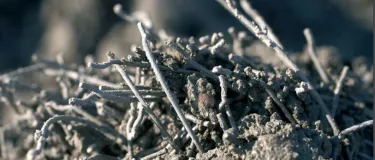 Stahlfaserbeton Holcim SteelPact