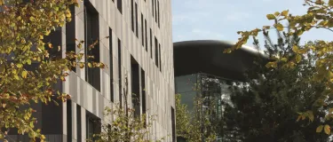 Hausfassade aus basaltlava mit Bäumen im Vordergrund.