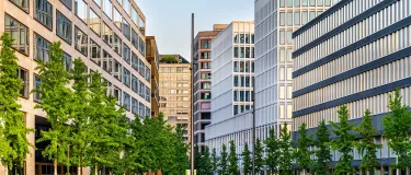 Mehrgeschossbauten an einem Platz mit Bäumen.