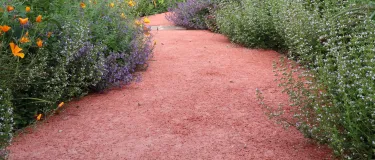 Gehweg aus rotem offenporigem Beton umsäumt von Blumen.