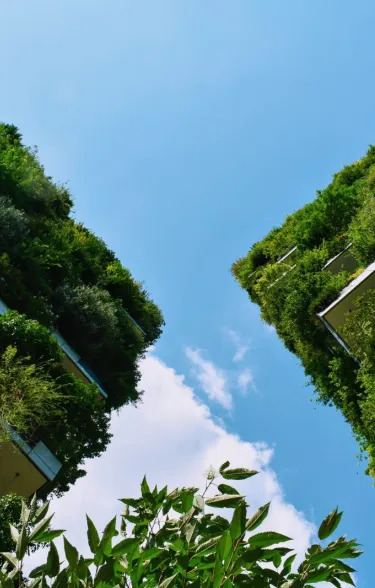 Zwei mehrstöckige Gebäude mit Fassadenbegrünung von unten.