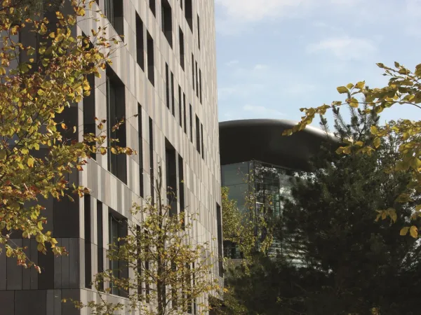 Hausfassade aus basaltlava mit Bäumen im Vordergrund.