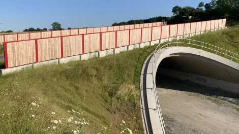 Mit Gras bewachsene Brücke, die über einen kleinen Weg führt.