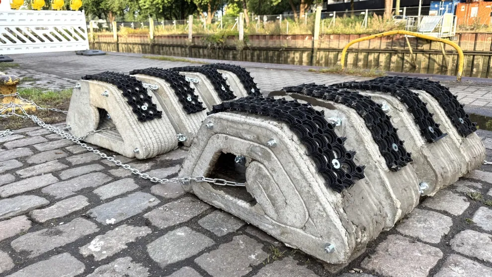 Bio-Riffe aus Beton auf einem gepflasterten Platz.