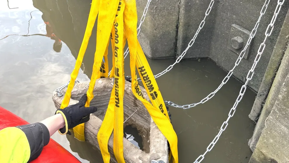 Bio-Riffe aus Beton werden ins Wasser gelassen.
