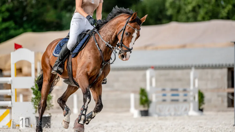 Pferd samt Reiterin auf einem Dressurplatz.