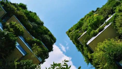 Zwei mehrstöckige Gebäude mit Fassadenbegrünung von unten.