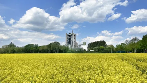 holcim-zementwerk-lagerdorf.jpg