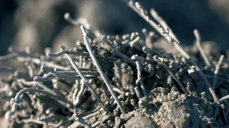 Stahlfaserbeton Holcim SteelPact