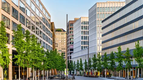 Mehrgeschossbauten an einem Platz mit Bäumen.