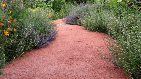 Gehweg aus rotem offenporigem Beton umsäumt von Blumen.