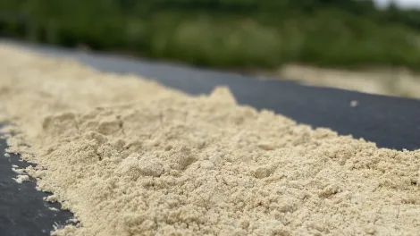 Getrockneter Quarzsand auf einem Fließband.