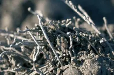 Stahlfaserbeton Holcim SteelPact