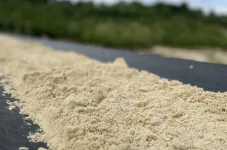 Getrockneter Quarzsand auf einem Fließband.